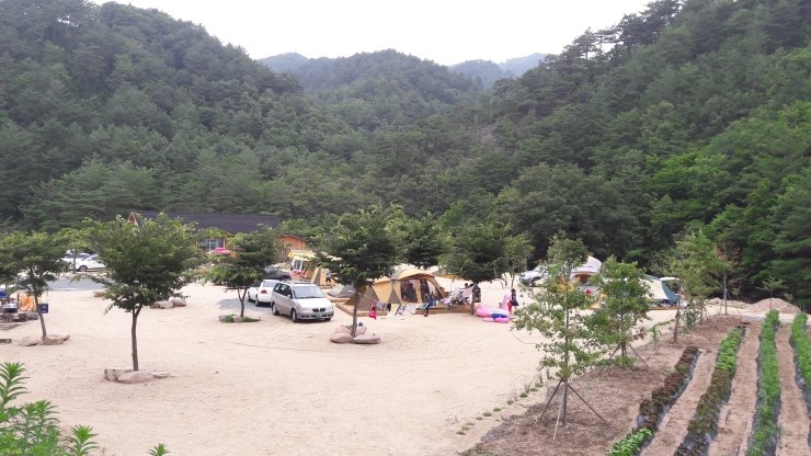 영양수비별빛캠핑장 이미지