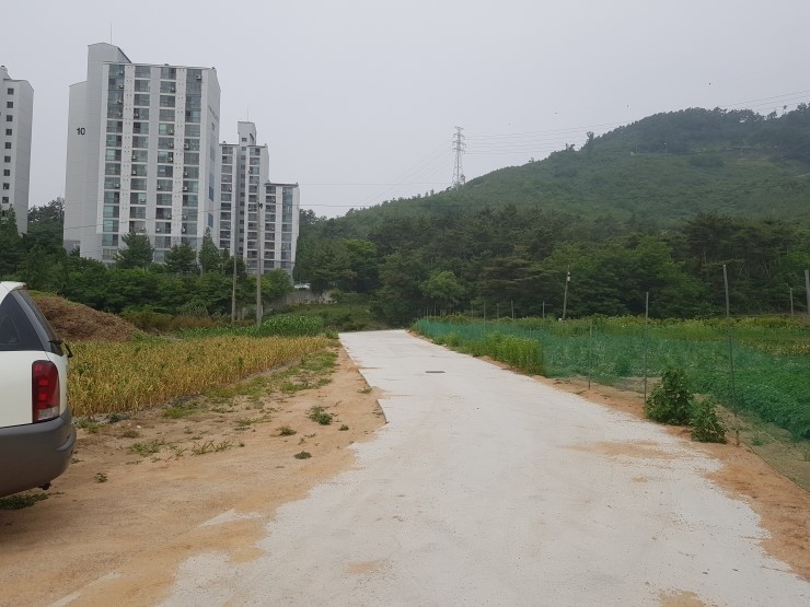 참사랑할인마트 이미지