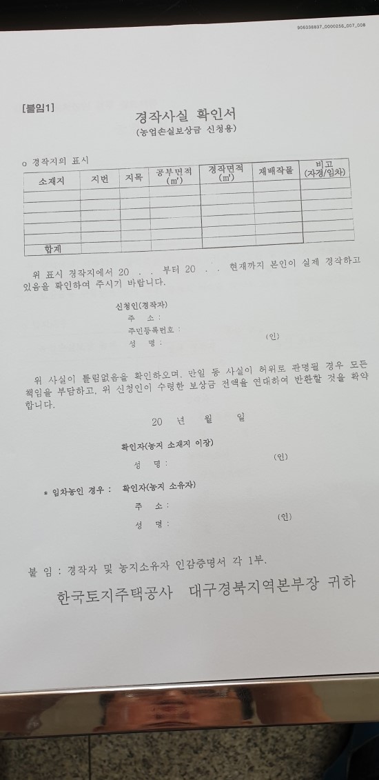율리 이미지