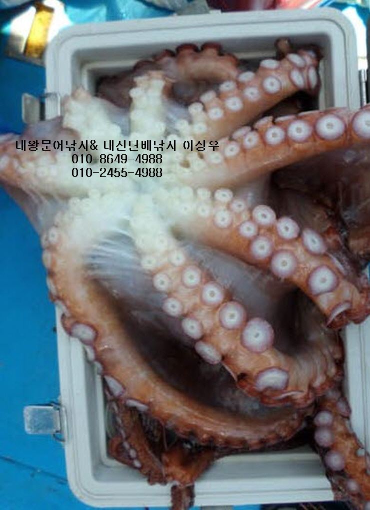 피노피노펜션 이미지