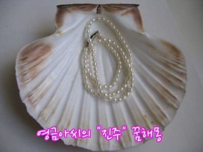 영금 이미지