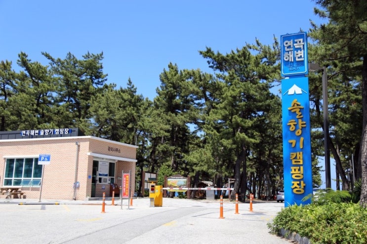 솔향기캠핑장 이미지