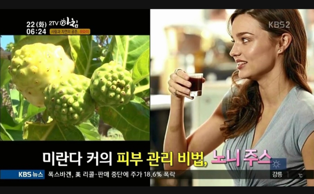그린존 코리아 이미지