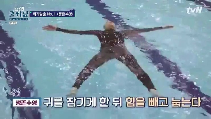 한국수영협회 이미지