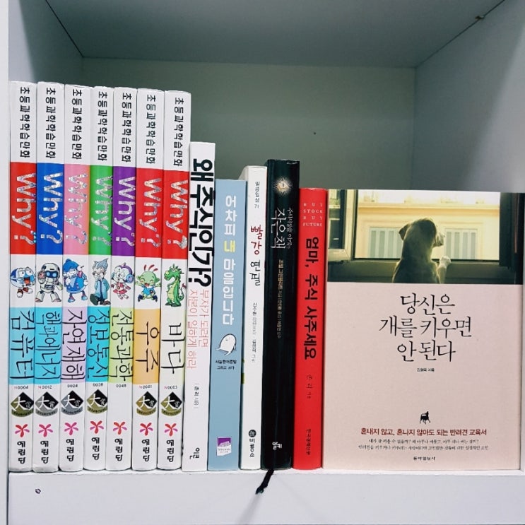연필정보통신 이미지