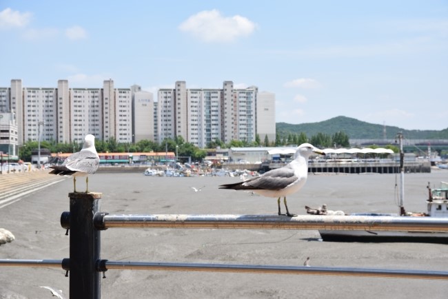 치칵치칵월곶점 이미지
