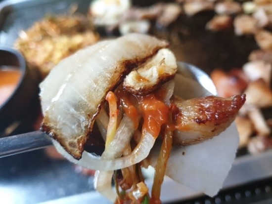 제주흙돼지 이미지