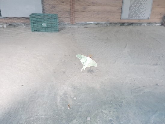 숲이조아 캠핑장 이미지