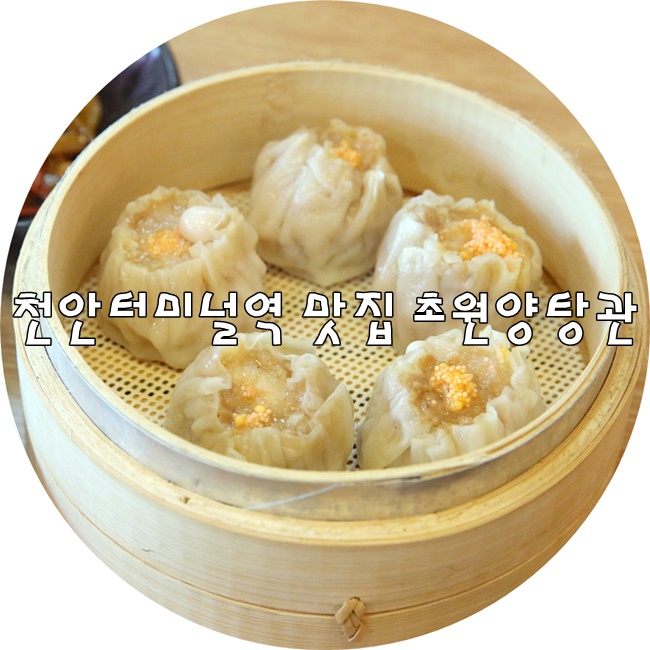 양탕관 이미지