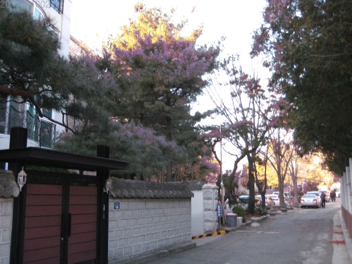 서울효자동 이미지
