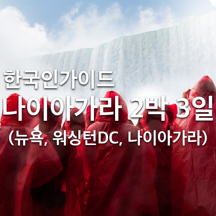 엘티이투어 이미지