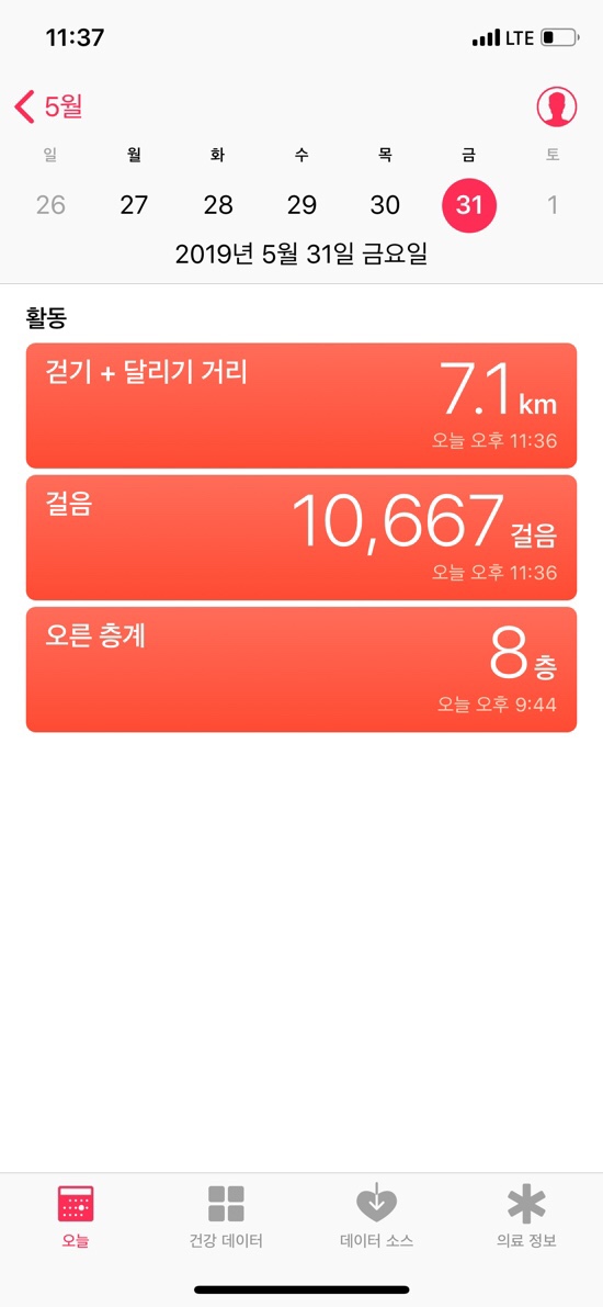 와일드혹스 이미지