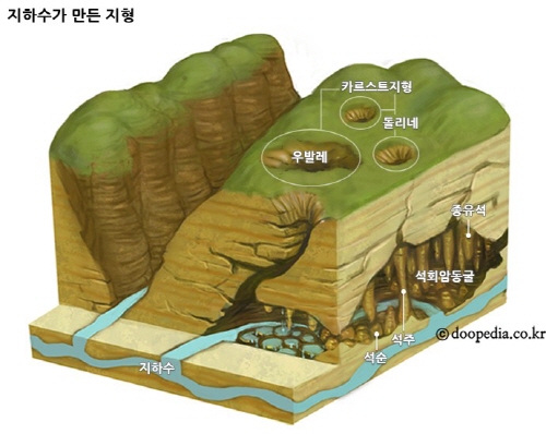 송이골 이미지