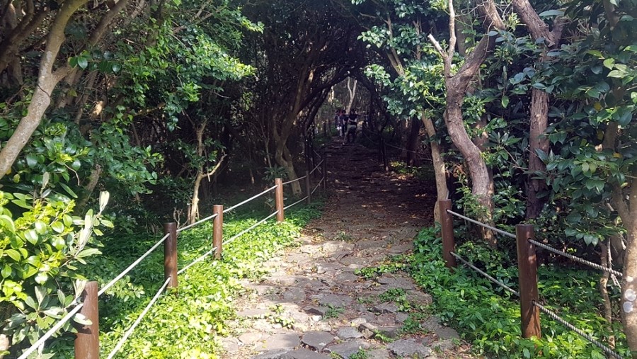 한통여행 이미지