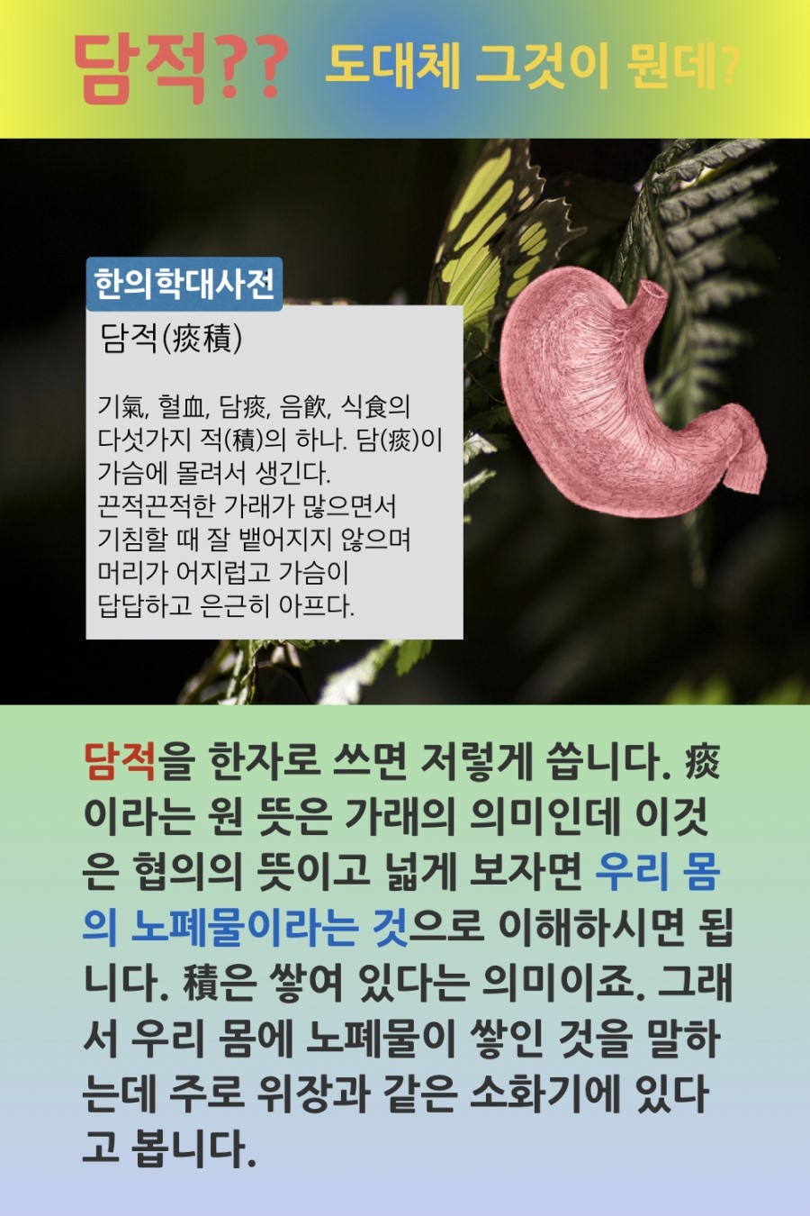 정미야식 이미지