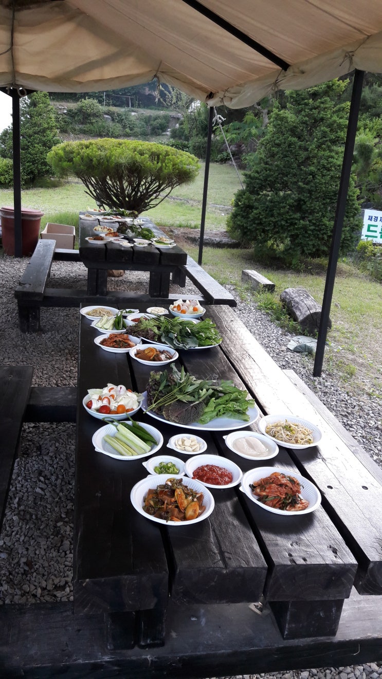 욤(Yom) 이미지