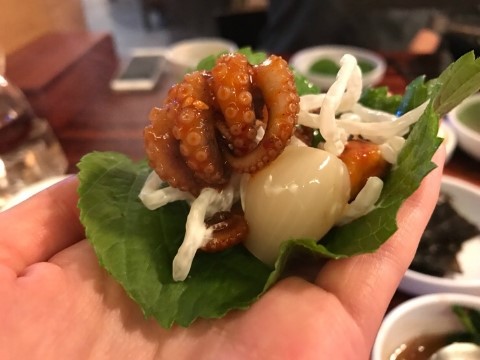오리와 쭈꾸미 이미지