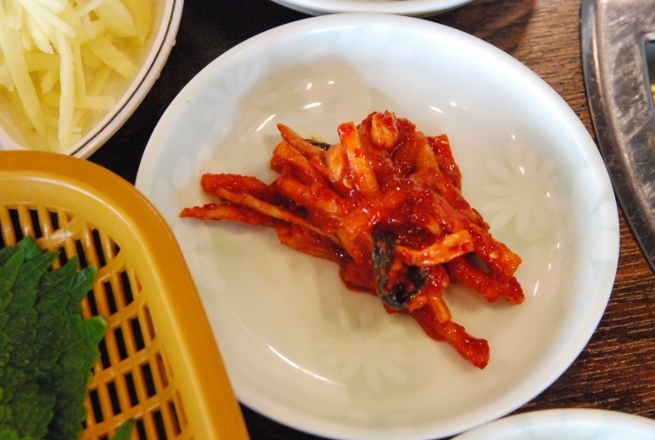 동백장어 이미지