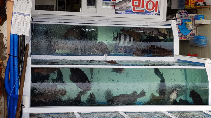 신안천사수산 이미지