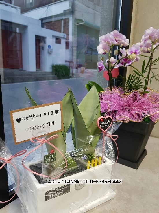 네일더맑음 이미지