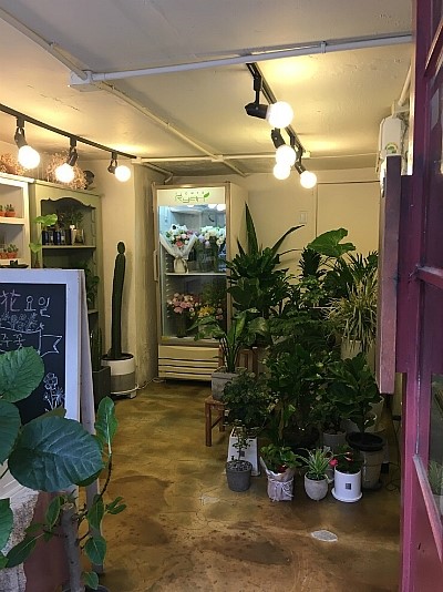 중앙꽃집 이미지