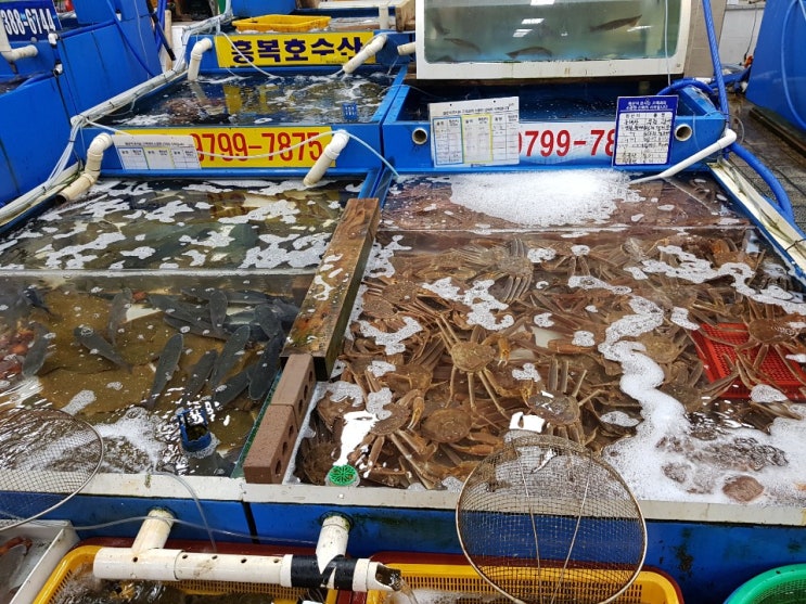 오대식당 이미지