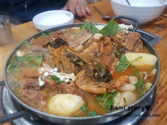 조마루뼈다귀 이미지