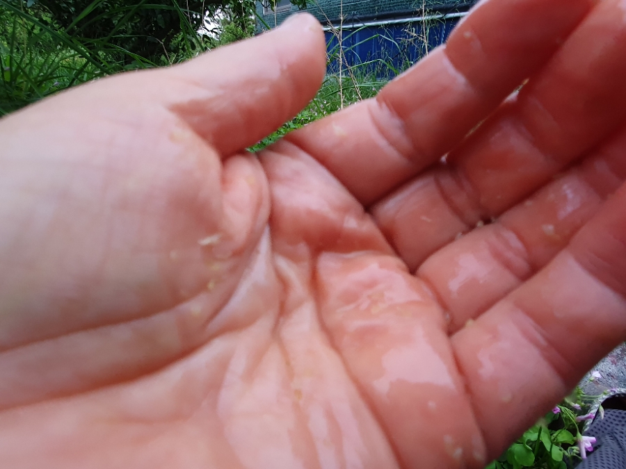 20190712_184705.jpg