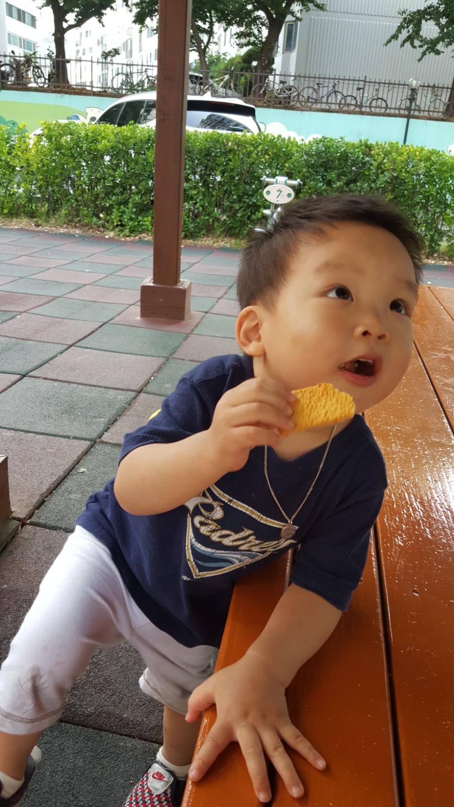 대릉유통 이미지