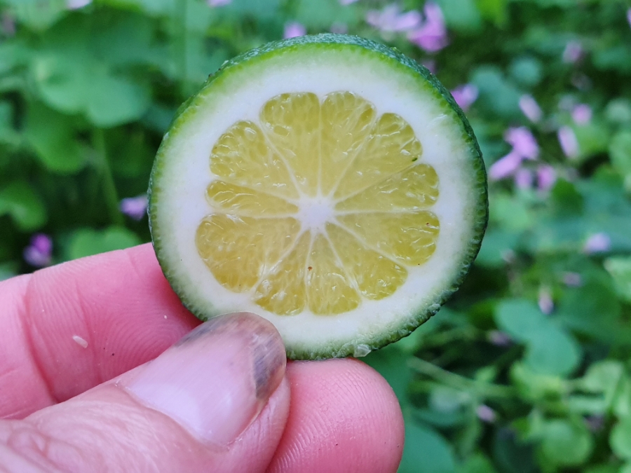 20190712_184622.jpg