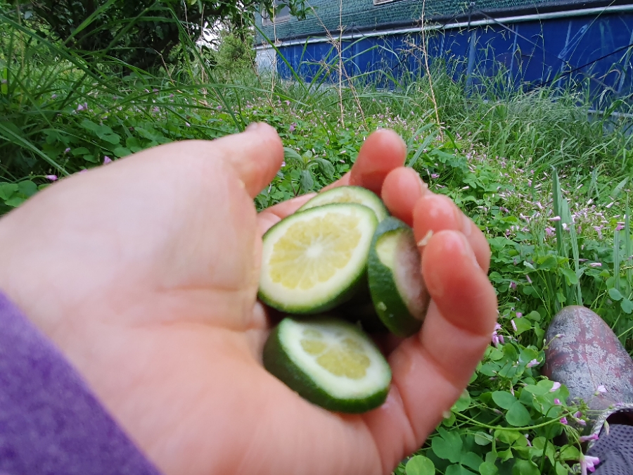20190712_184658.jpg