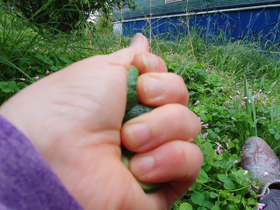 20190712_184656.jpg