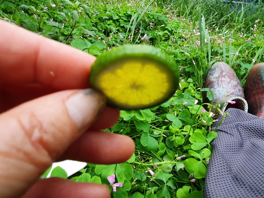 20190712_184633.jpg
