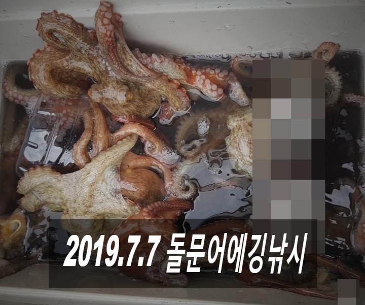 뉴프렌드호 이미지