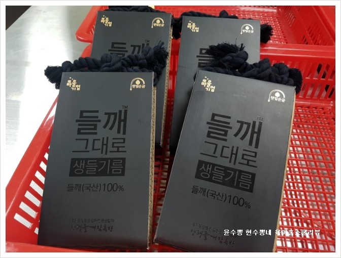 에버그린에버블루협동조합 이미지