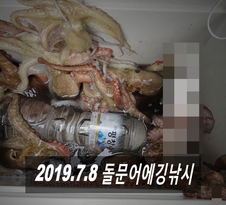 뉴프렌드호 이미지
