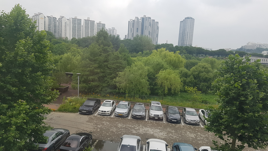 카페 수 이미지