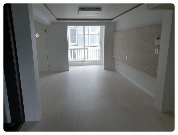 영토탈 이미지