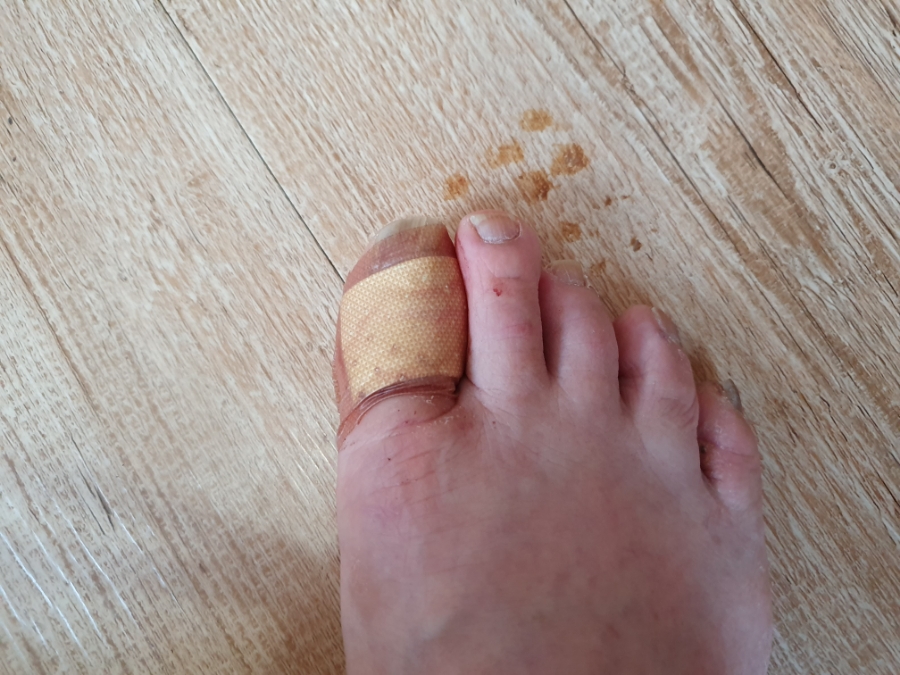 20190717_082134.jpg