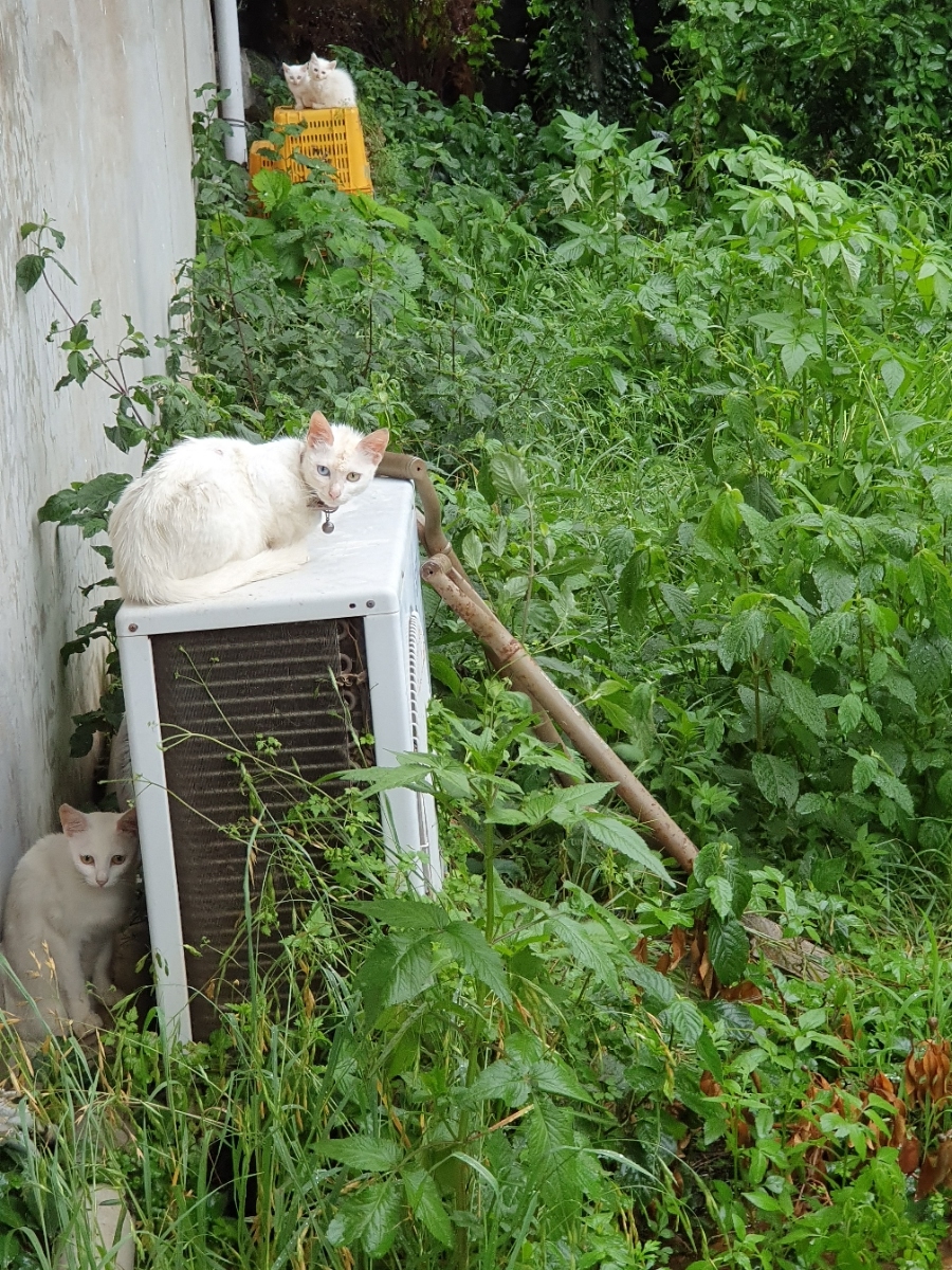 20190719_182514.jpg