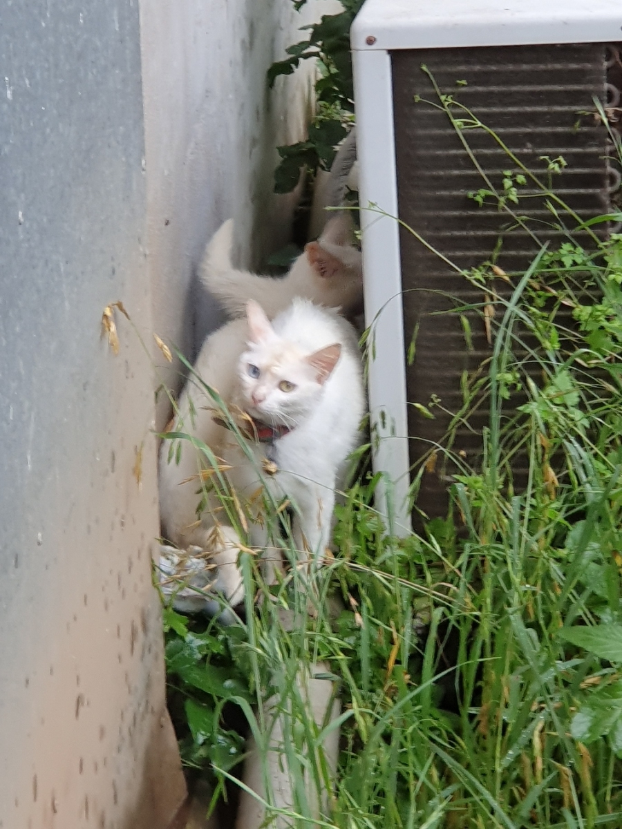 20190719_182440.jpg