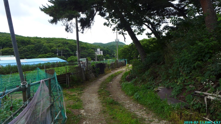 오남주유소 이미지