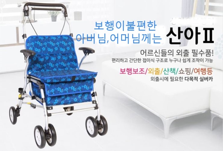 100세실버카 이미지