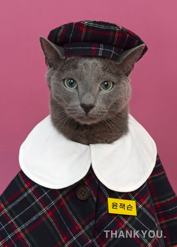 블루잭슨 이미지