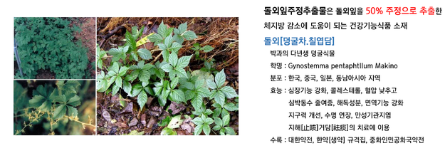 프롬에이치 이미지