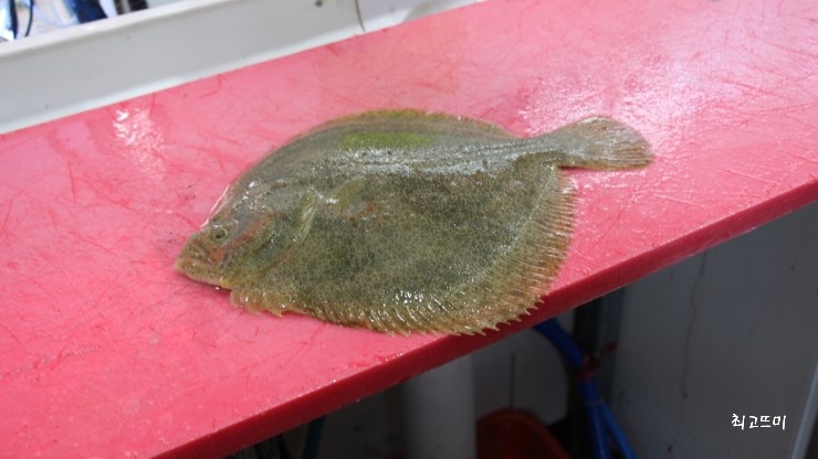 와우족발통닭 이미지