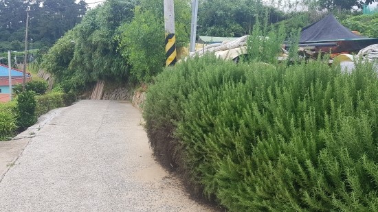 파도사랑민박 이미지