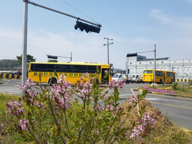 신촌자동차운전전문학원 이미지