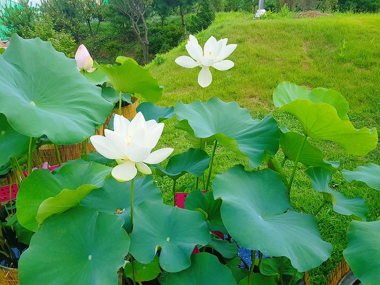 바늘꽃공방 이미지