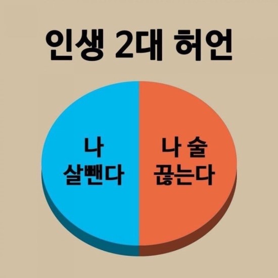 붕붕카세차장 이미지